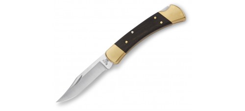 Buck Knives 110 Hunter 3.75" Folding Blade Knife